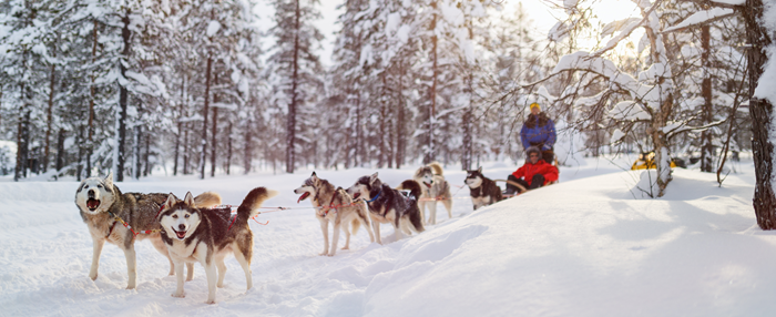 Magical holiday to Santa’s Lapland